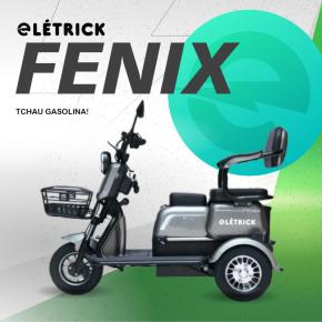 TRICICLO FENIX 750W PRATA     - consulte frete grátis pra sua cidade