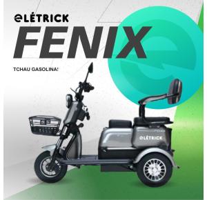 TRICICLO FENIX 750W PRATA  - PROMOÇÃO DIA DAS MÃES 