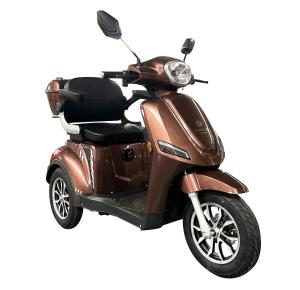 TRICICLO ALPHA BROW